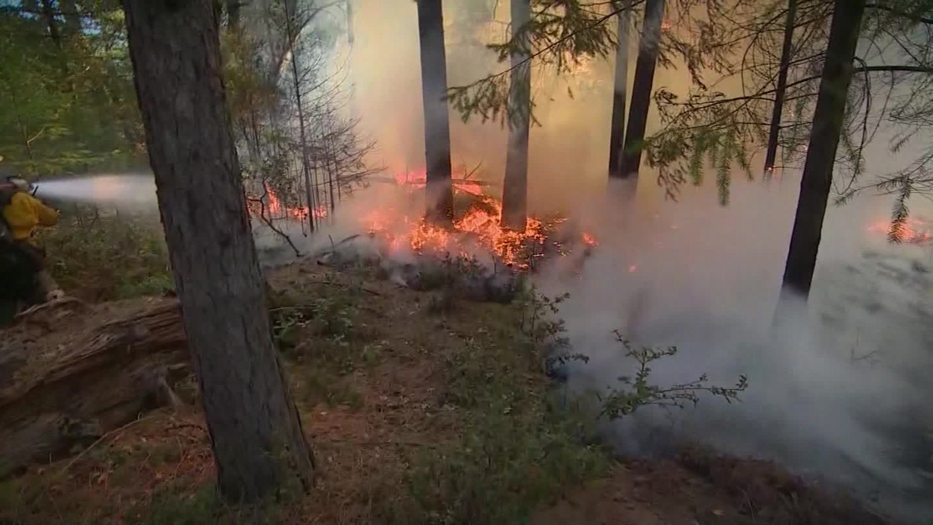 PG&E Agrees to $100 Million Shareholder Settlement Over 2017 and 2018 California Wildfires